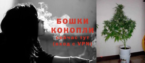 гидропоника Ладушкин